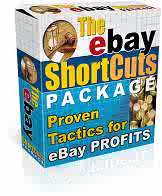 ebay and online auction home business software